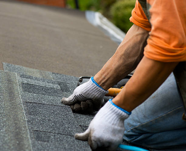 Best Roof Leak Repair  in Harrison, TN