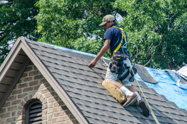 Best Roof Waterproofing Services  in Harrison, TN